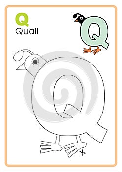 Alphabet Picture Letter `Q` Colouring Page. Quail Craft.