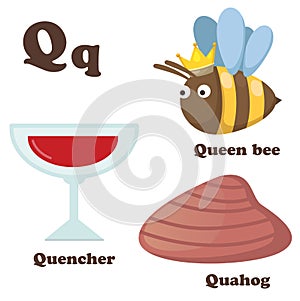 Alphabet Q letter.Quahog,Queen bee,Quencher