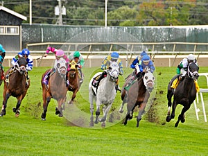 Fast and Accurate winning on the Turf