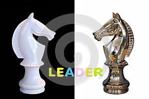 Alphabet sponge rubber of text `LEADER` with horse chess isolated over black and white background. Business and leader concept