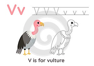 Alphabet tracing worksheet with letter V. Coloring page with cute cartoon vulture. Handwriting practice for kids.
