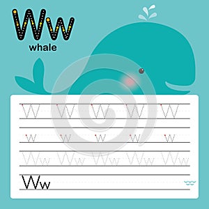 Alphabet tracing worksheet for preschool and kindergarten to improve basic writing skills, letter W, whale, vector, illustration