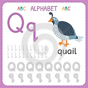 Alphabet tracing worksheet for preschool and kindergarten. Writing practice letter Q. Exercises for kids