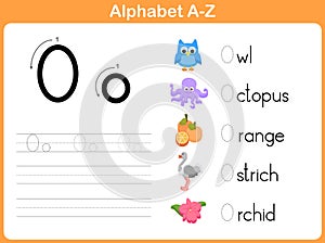 Alphabet Tracing Worksheet photo