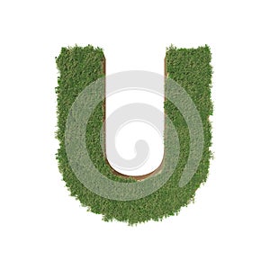 Alphabet U made of green tree on white background.