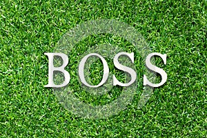 Alphabet in word boss on green grass background
