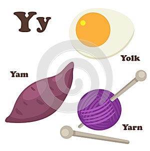 Alphabet Y letter.Yam,Yarn,Yolk