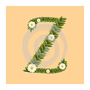 alphabet z. Vector illustration decorative design