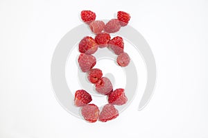 Alphabetical letters made of raspberries