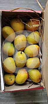 alphanso mangos in box
