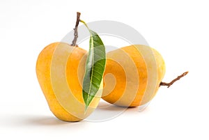 Alphonso Mango