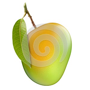 Alphonso mango with stem isolated white background