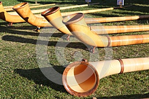 Alphorn