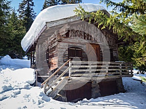 Alpin hut covered by snow in winter
