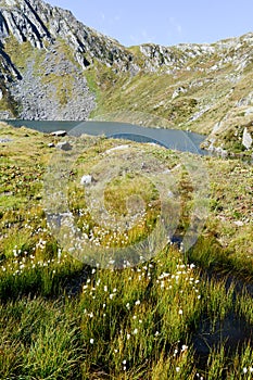 Alpin lake at Maggia valley