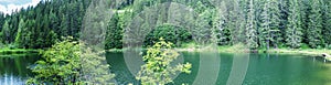 Alpin panoramic landscape. Lake with trees in summer season