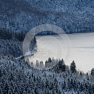 Alpine Alpsee Lake Panorama