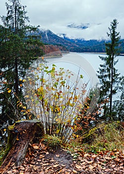 Alpine autumn .Sylvenstein Stausee lake, Germany