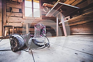 Alpine boots on rustic wood floor in an abandoned mountain chalet in Austria