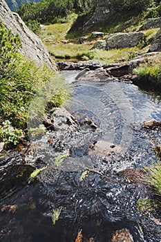 Alpine brook