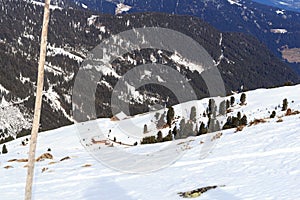 Alpine chalet houses and mountain snow panorama with trees in winter in Stubai Alps