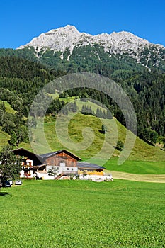 Alpine chalet and meadows