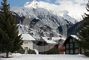 Alpine Chalets