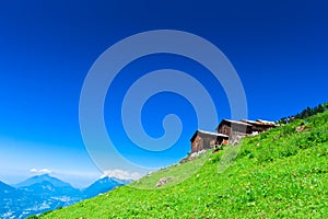 Alpine chalets on green mountain slope