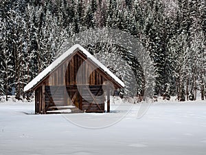 Alpine cottage