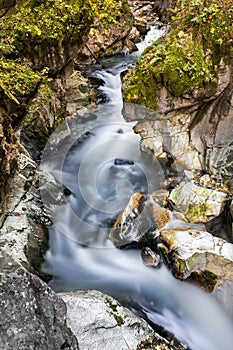 An alpine creek flowing between rocks and vegetation