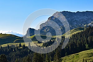 Alpine enviroment at the swiss alps