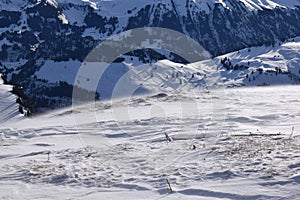 Alpine enviroment at the swiss alps