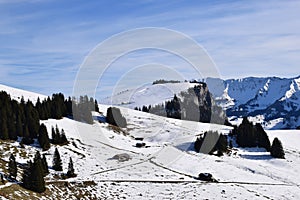 Alpine enviroment at the swiss alps