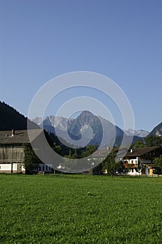 Alpine farm