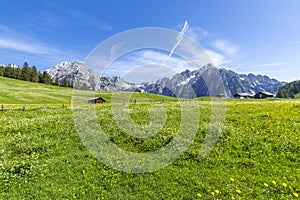 Alpine flower meadows with majestic Karwendel Mountain Range. Photo taked near Walderalm, Austria, Gnadenwald, Tyrol photo