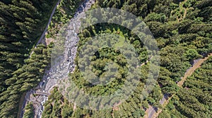 The alpine forest region Sixt-Fer-Cheval in southeastern France.