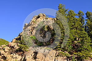 Alpine forest in rocky mountains national park, Colorado, USA