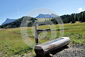 Alpine fountain