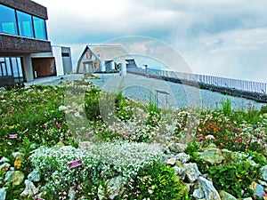 Alpine Garden or Alpengarten Hoher Kasten