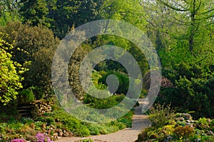 Alpine garden, Jardin des Plantes, Paris photo