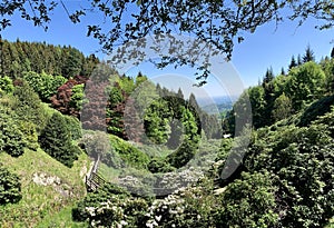 Alpine garden park in the Italian Alps. Valdilana.