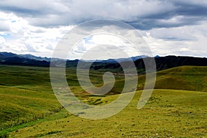 The Alpine Grassland scenery on the Qinghai Tibet Plateau