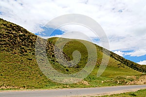 The Alpine Grassland scenery on the Qinghai Tibet Plateau