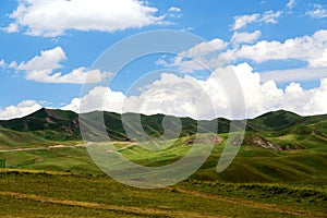 The Alpine Grassland scenery on the Qinghai Tibet Plateau