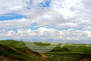 The Alpine Grassland scenery on the Qinghai Tibet Plateau