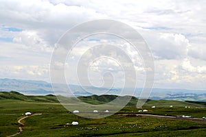 The Alpine Grassland scenery on the Qinghai Tibet Plateau