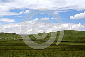 The Alpine Grassland scenery on the Qinghai Tibet Plateau