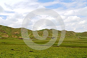 The Alpine Grassland scenery on the Qinghai Tibet Plateau