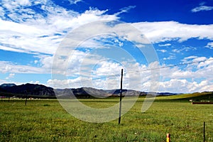 The Alpine Grassland scenery on the Qinghai Tibet Plateau