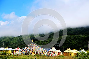 The Alpine Grassland scenery on the Qinghai Tibet Plateau